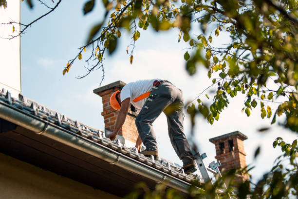 Best Gutter Installation and Repair  in Bidwell, OH